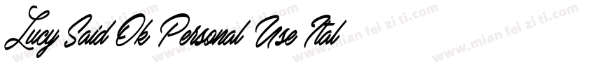 Lucy Said Ok Personal Use Italic字体转换